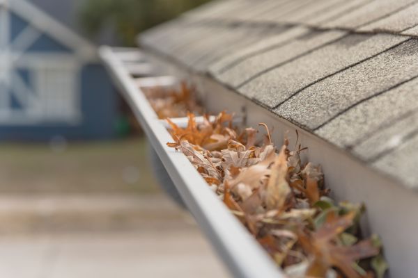 Leaf Barrier Installation in Springboro