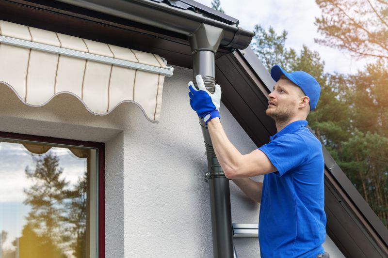 Professional Gutter Service Experts